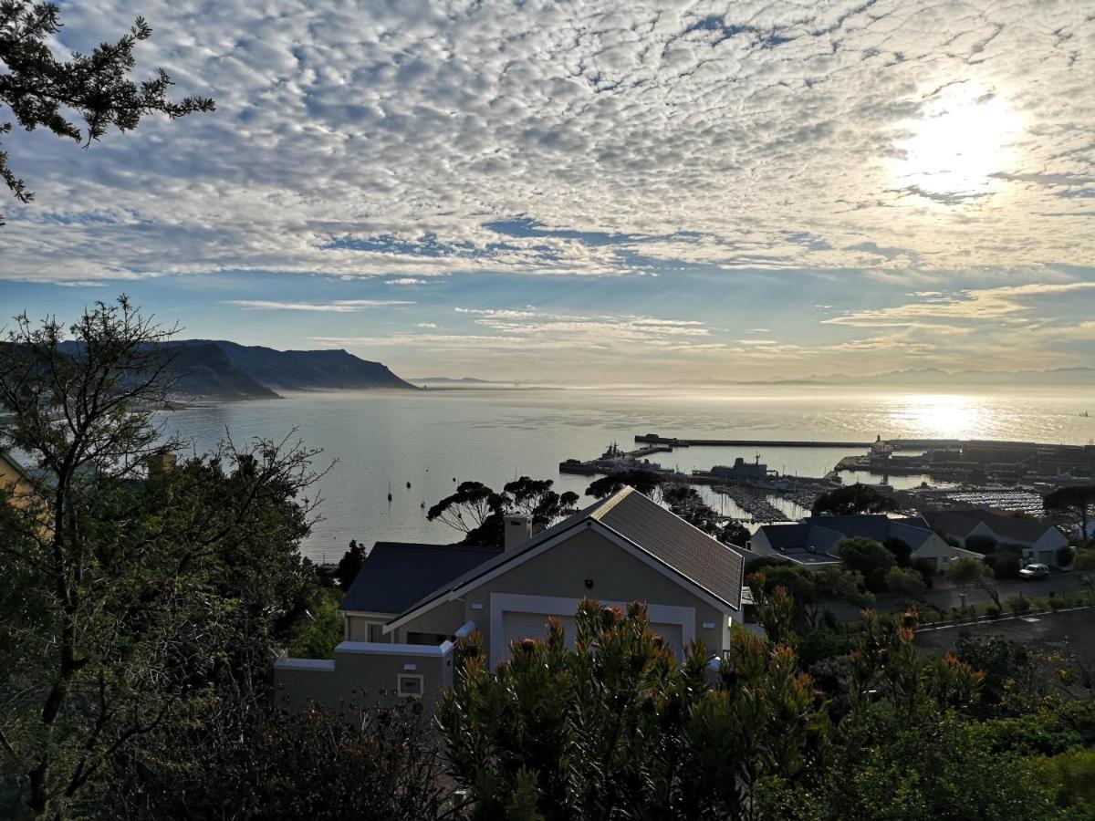 Albatross Guest House Simonʼs Town Eksteriør bilde