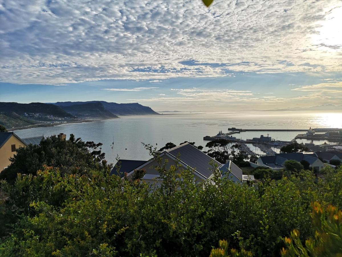 Albatross Guest House Simonʼs Town Eksteriør bilde